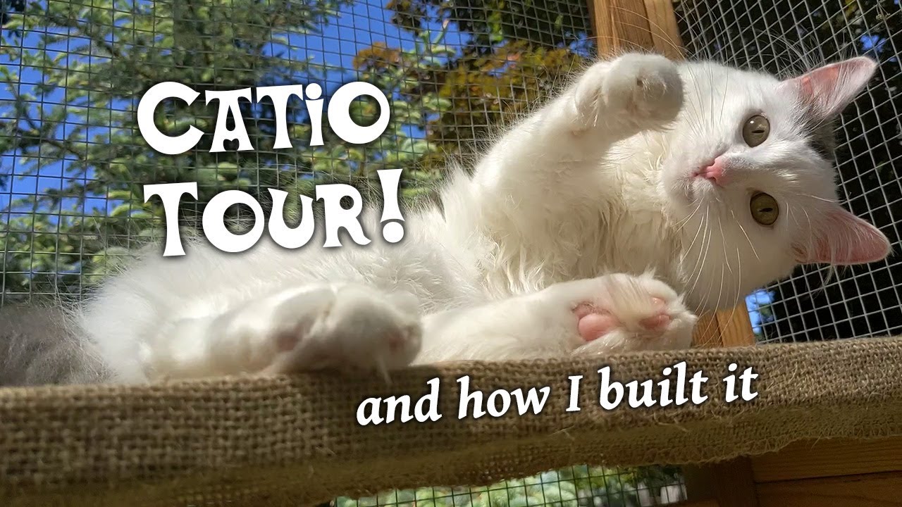 Catio Tour, Meet the Cats and See How I Built It