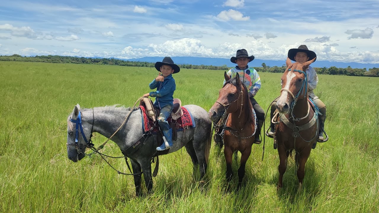 TRABAJO DE LLANO (Herrada)