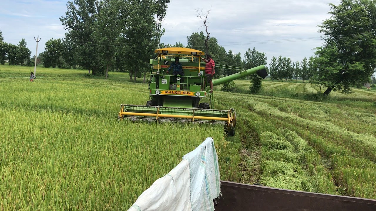 Malkit 997 4x4 combine paddy harvesting in uk.. paddy pr 126