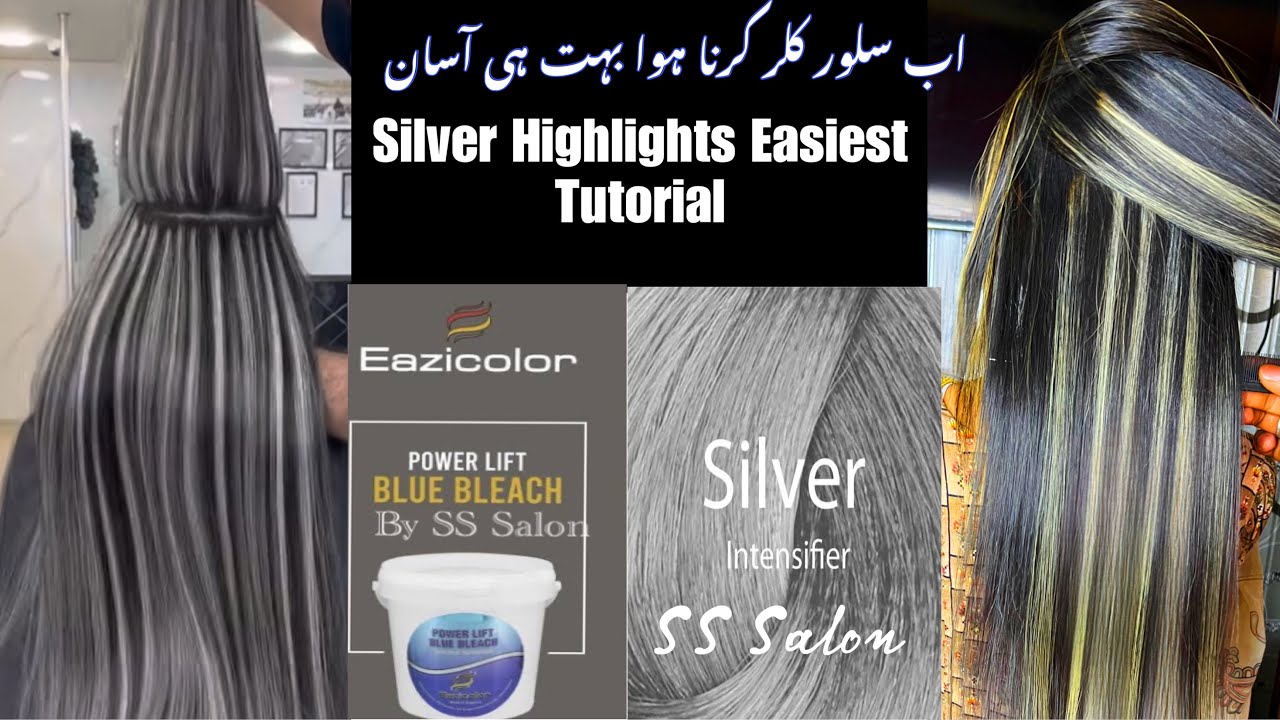 How To: Gray Highlights for Beginners Step-by-Step // Sliver Highlights Easy Method #Eazicolor