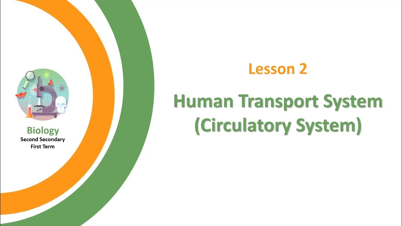 Unit 1 - Chapter 2 - Lesson 2 - Human Transport System (Circulatory  System)