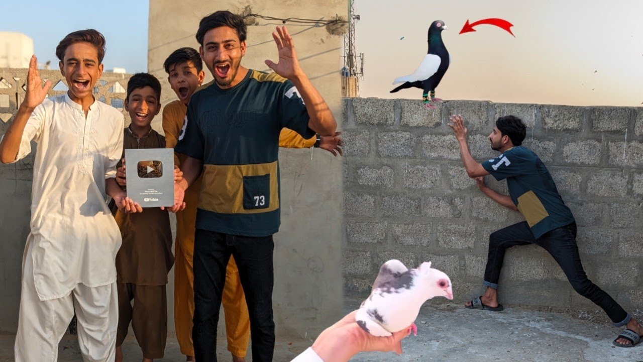YouTube Silver play Button Aa Gaya 😍 aur fancy kabootar pakda Liya 🥳 how to check pigeon