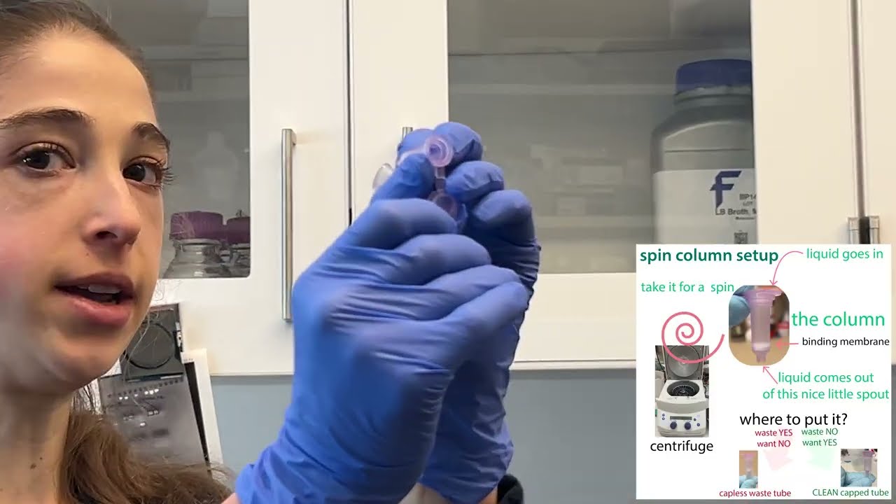 PCR product purification/clean-up (eg. QIAquick PCR Purification) & other nucleic acid spin columns