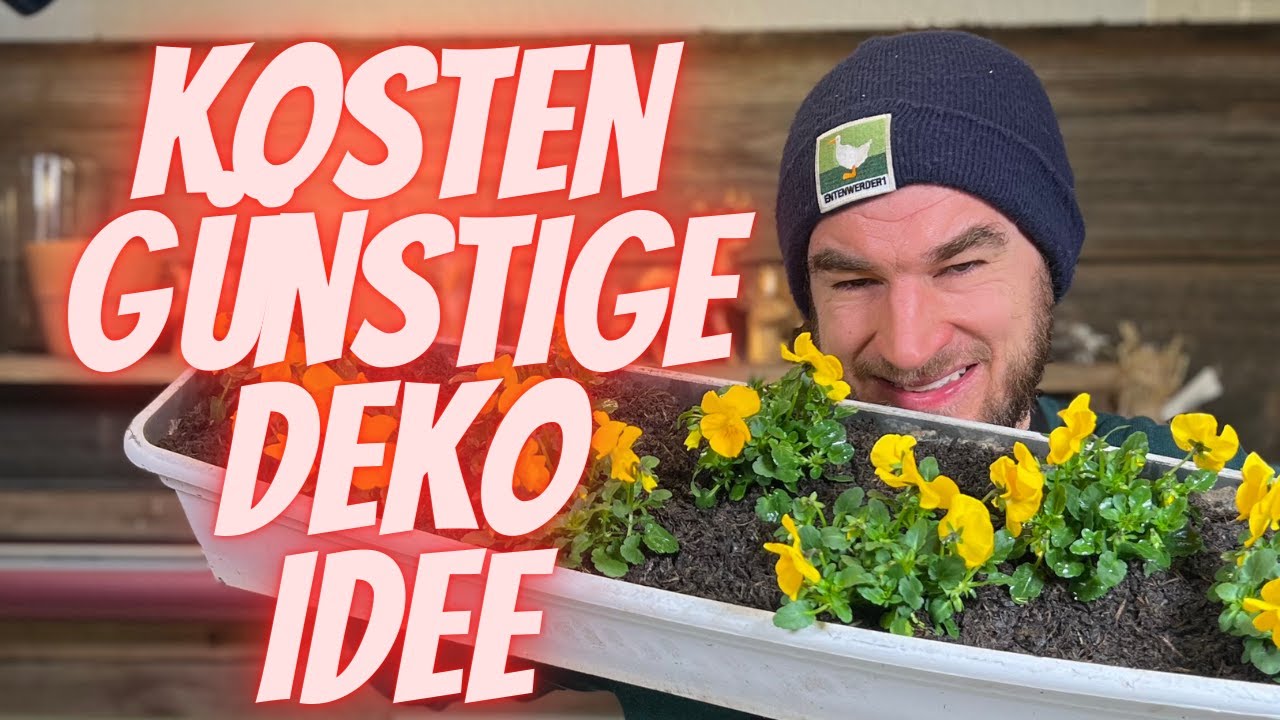 Kostengünstige Frühlingsdeko - Balkonkasten Deko Idee zum selber machen - EINFACH SCHNELL & SCHLICHT