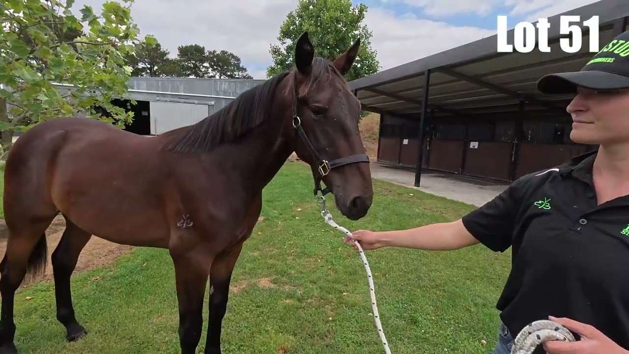 Out and About with Craig Judd from Benstud NSW