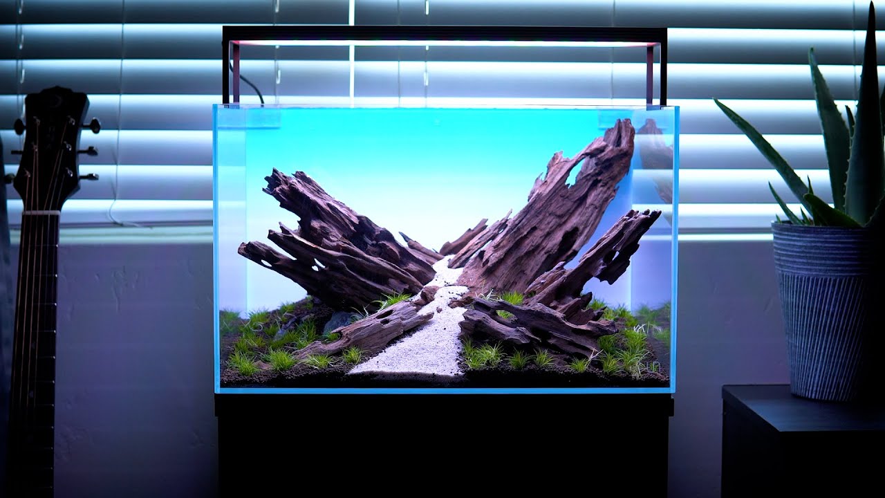 DRAGON WOOD AQUASCAPE | Full Tutorial