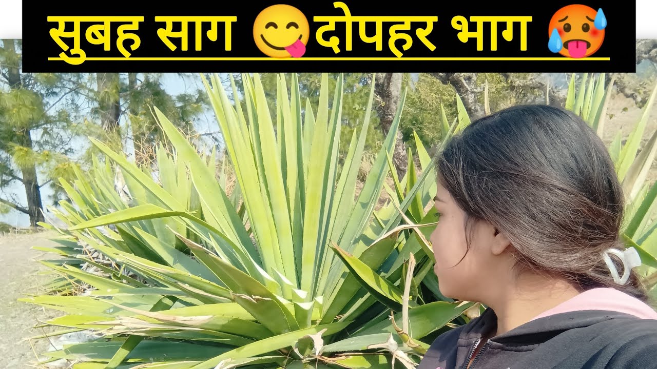 सुबह साग दोपहर भाग🥵