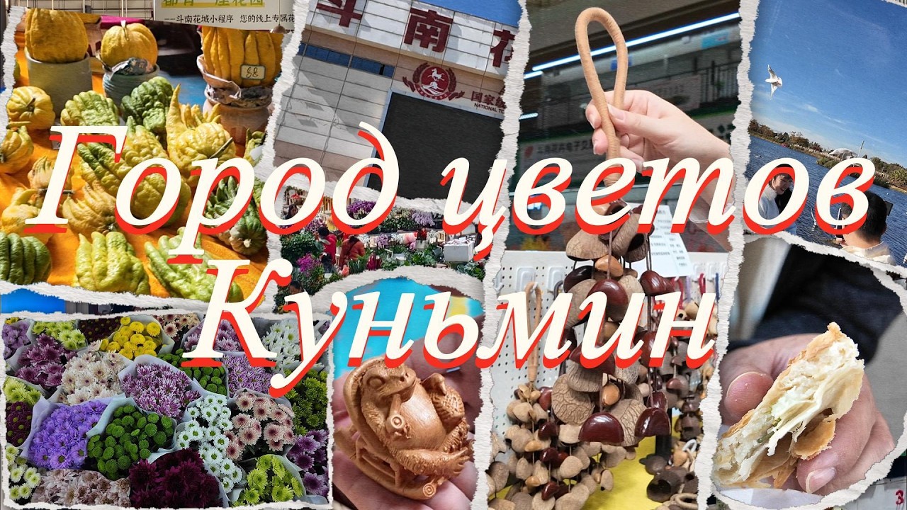 HSK 3-4 | Покори китайский с видео | 昆明 Город Цветов