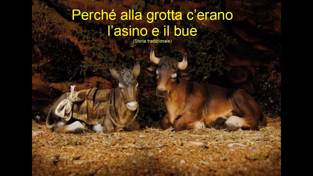 Perché alla grotta c'erano l'asino e il bue.