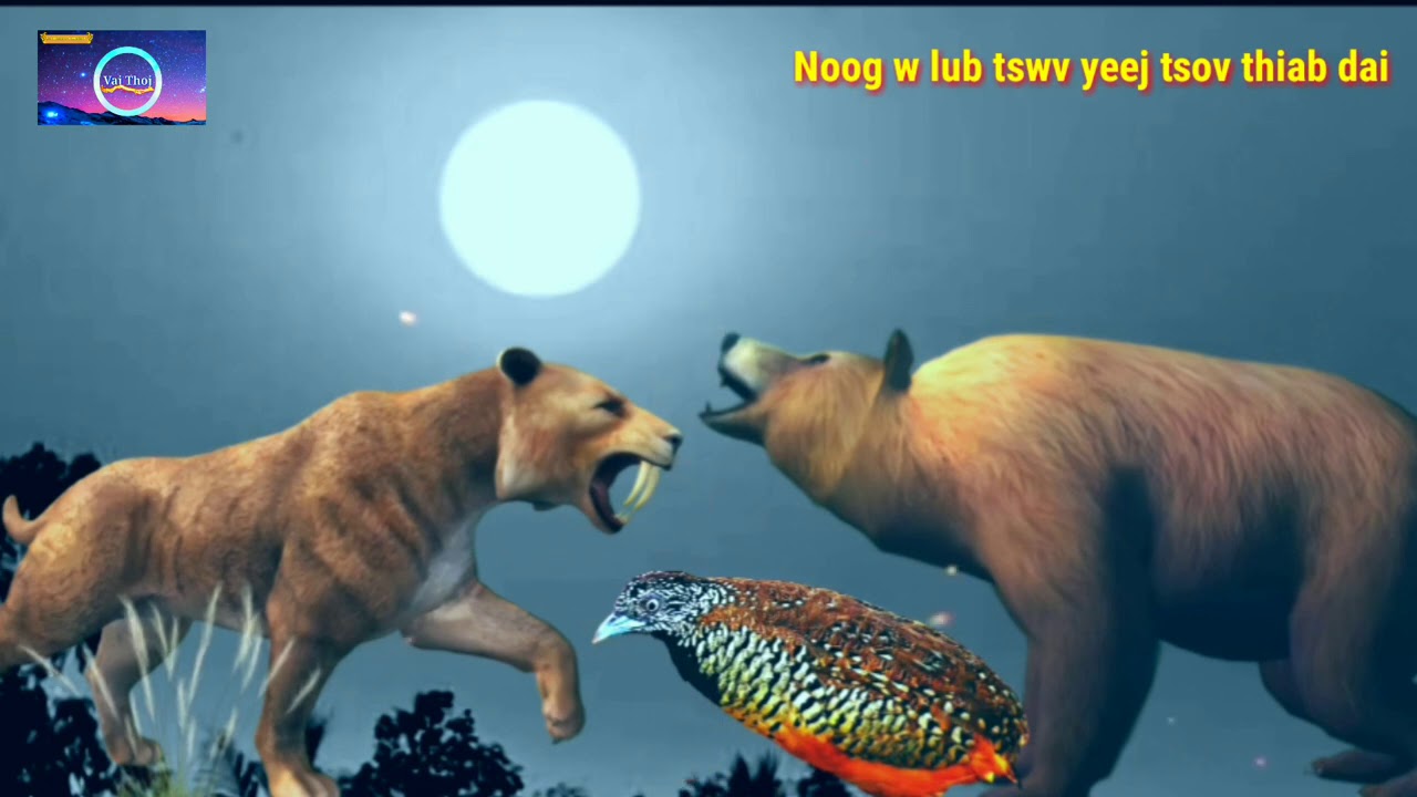 Noog w  lub tswv yim yeej huab tai tsov thiab dai rog nkawv