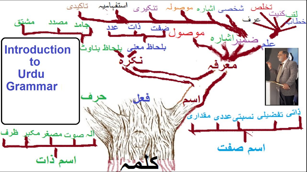 An Introduction to Urdu Grammar - for English medium students