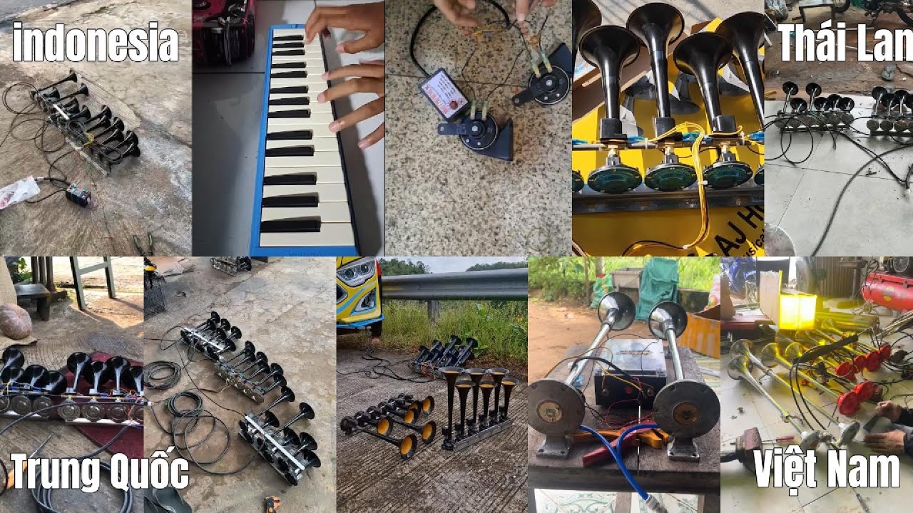 Top những bản còi basuri còi ong vàng hay nhất