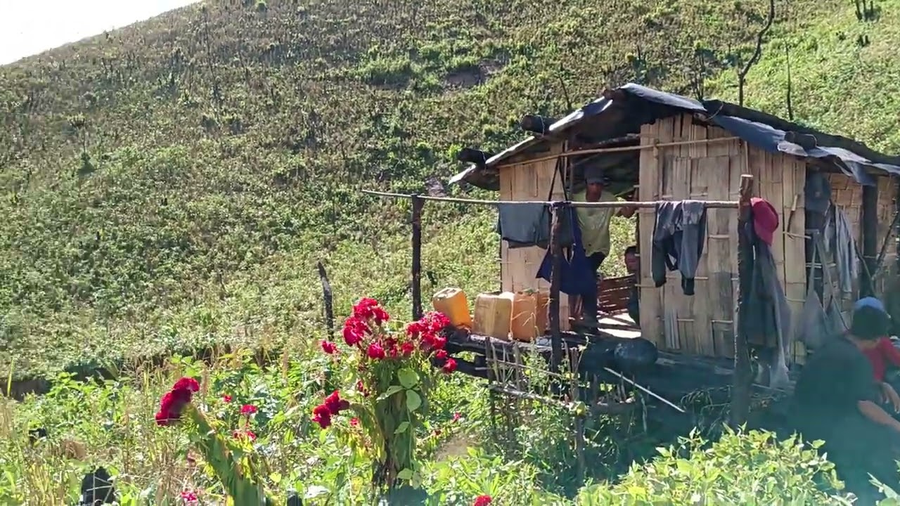 Pachawia buh vuak leh chhehvel - Ni 30.10.2025 ningani