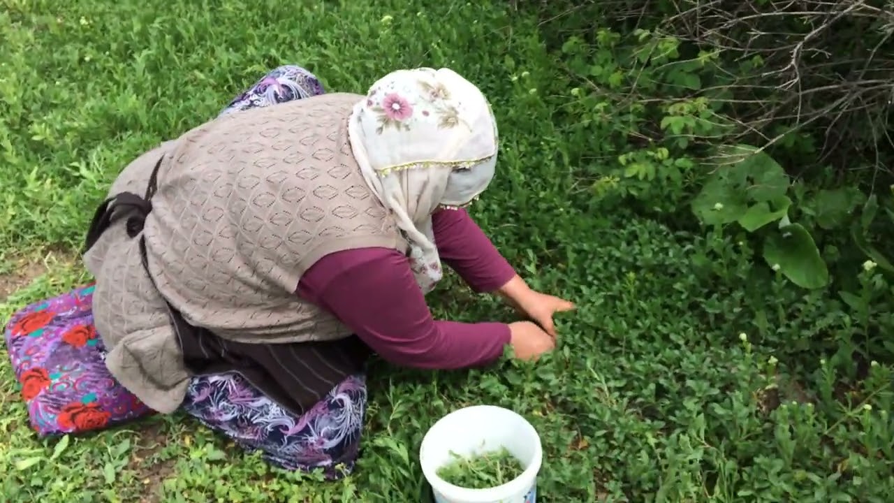 Köyde madımak topladık🌱