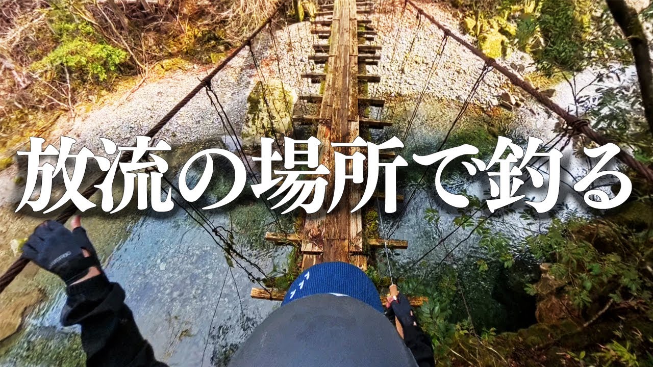 【渓流釣り】和歌山県 古座川町【七川】 釣れそうな釣り場で釣ってみた　vol.3