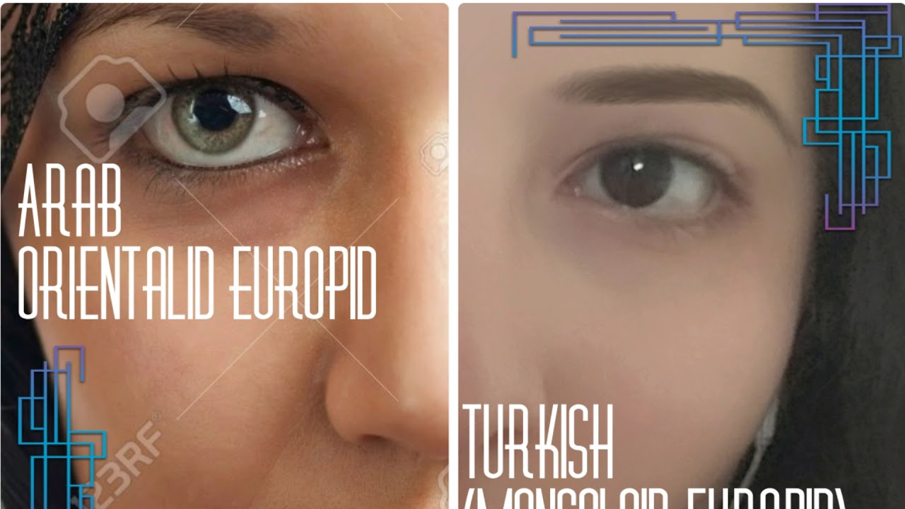 Les Turcs sont ils vraiment arabes?  (résolu (Cest ta mère l'arabe!))