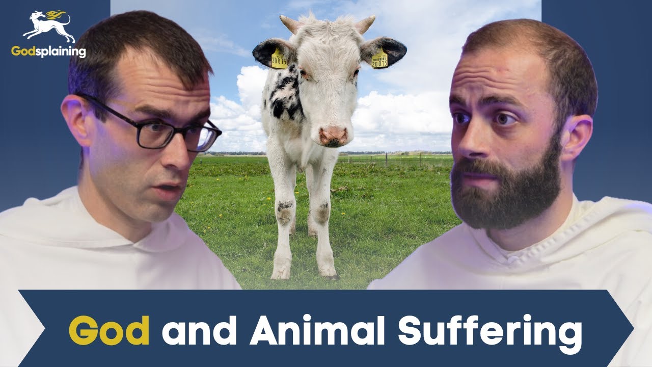 God and Animal Suffering | Fr. Gregory Pine & Fr. Bonaventure Chapman