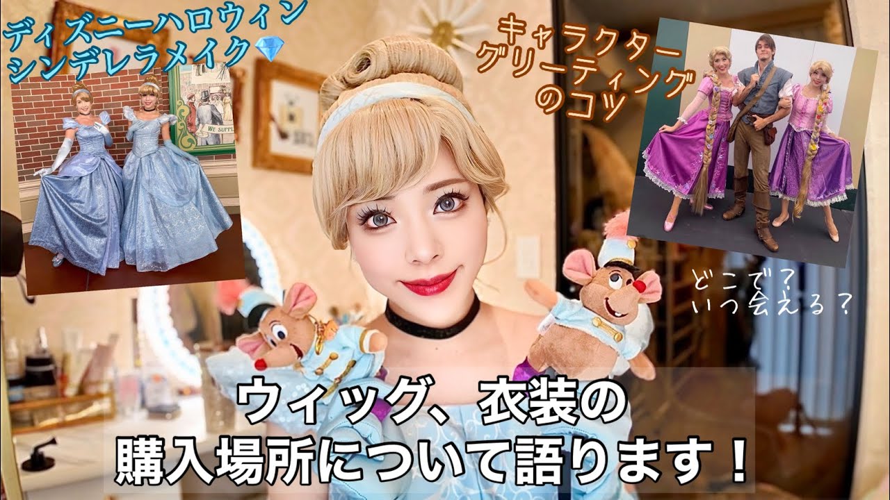 【Dハロ仮装】シンデレラメイクとキャラクターグリーティングのコツについて【ウィッグと衣装購入場所】