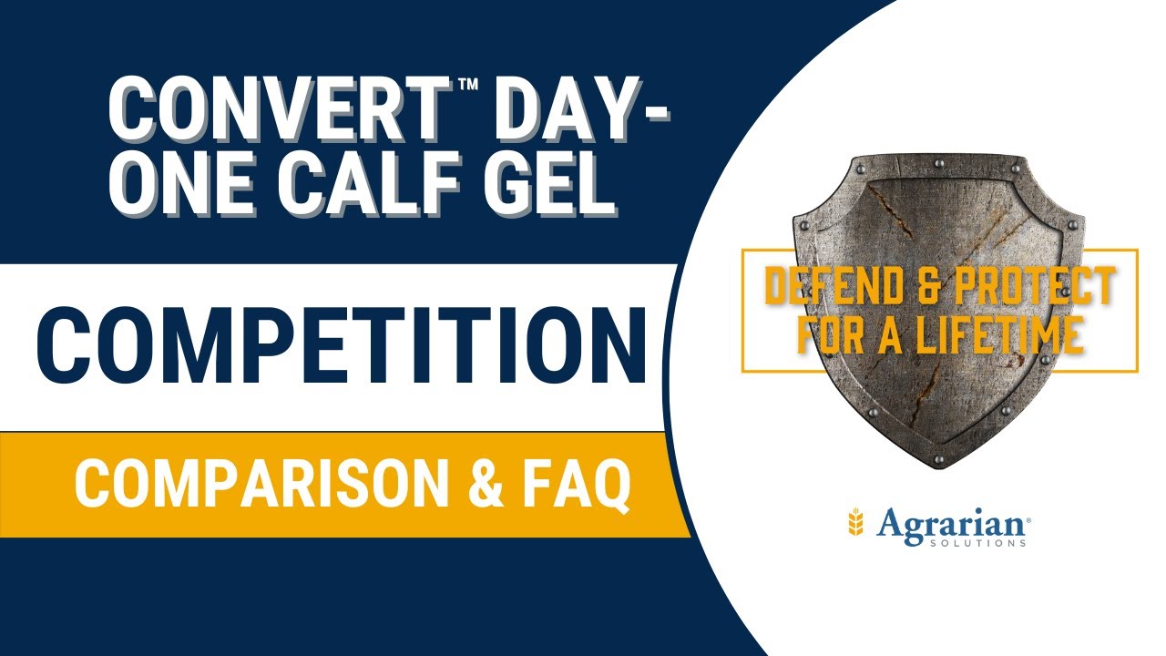 Convert Day-One Calf Gel Competition Comparison and FAQ