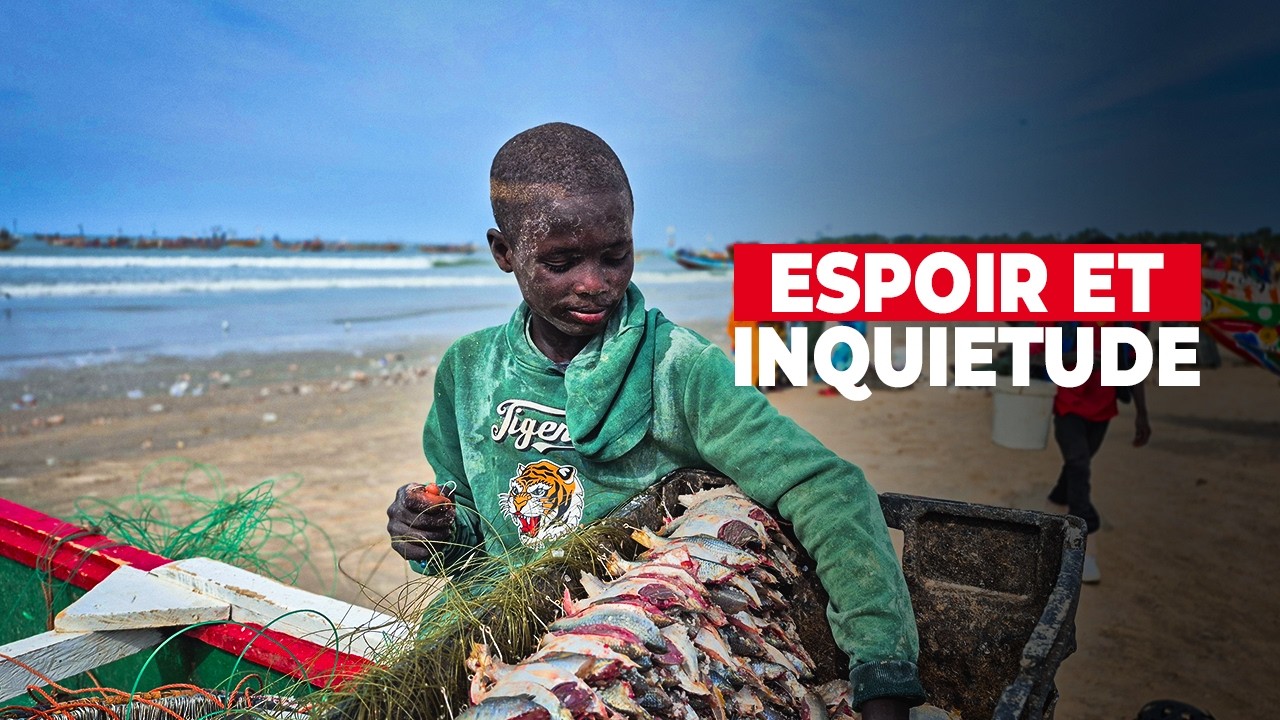 CAP-SKIRRING, FACE À LA MER : immersion au quai de pêche (Documentaire), entre travail et survie 😱😱