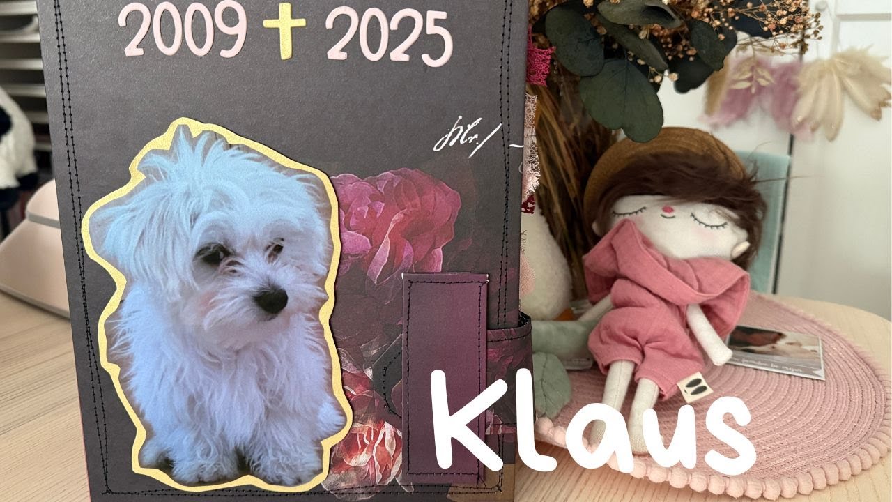 Mi mejor amigo, Klaus 🙏🏻 ✝︎