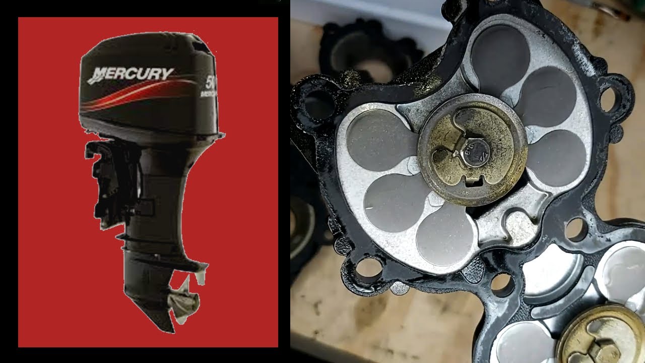 🔧🚤Cambio de JUNTAS colector de ADMISION y REVISION de Caja de Válvulas MERCURY/MARINE 50cv 2 Tiempos