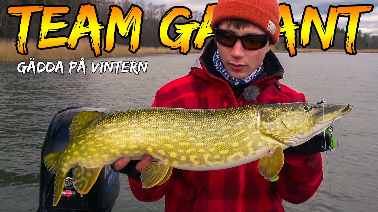 G&auml;dda p&aring; Vintern | Team Galant (English Subtitles)