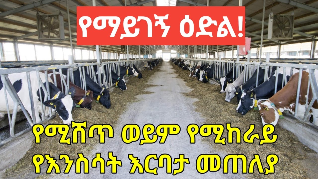 የሚሸጥ ወይም የሚከራይ የእንስሳት እርባታ መጠለያ ላሳያችሁ፡፡ የማይታለፍ ወርቃማ ዕድል ነው! መሬት የለኝም አይሠራም! An Amazing Opportunity!