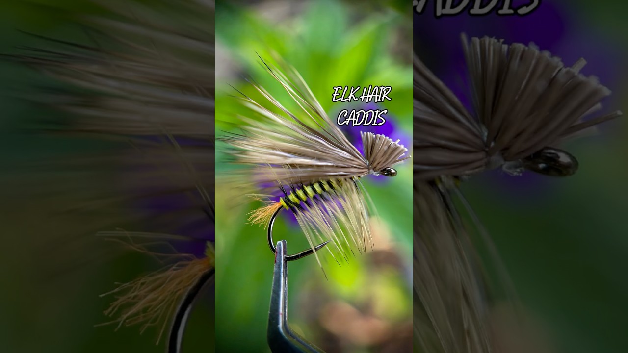 &ldquo;Elk Hair Caddis Variant&rdquo; Recipe in the description⤵