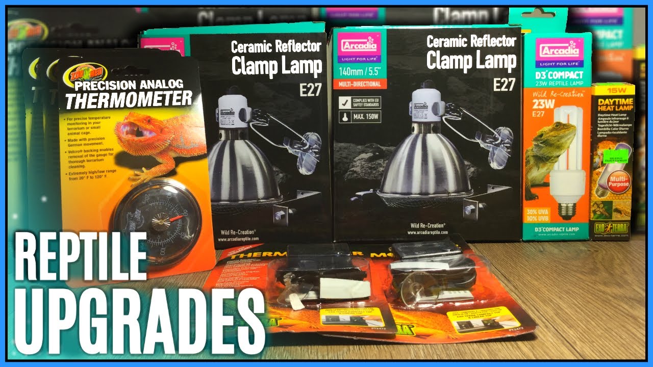 Upgrading My Reptiles - New Arcadia Ceramic Reflector Clamp Dome, Thermometers, & Day Gecko Lighting