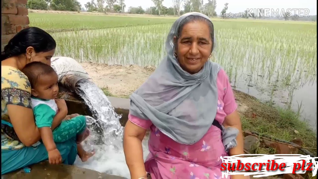 Khet  vlog#desi lifestyle #aajao  sab  khet  ghume 😜😜😜
