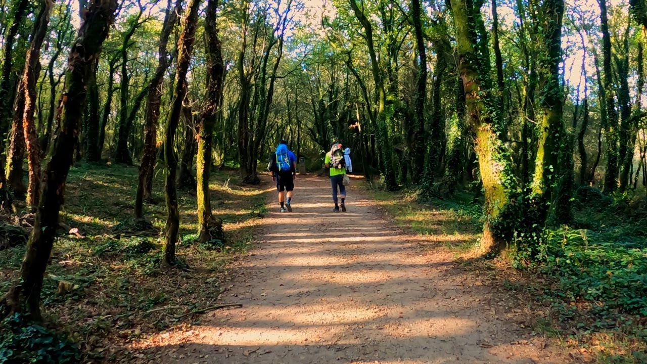 Camino Inglés, etapa 5/5: Sigüeiro - Santiago de Compostela | 5 de octubre del 2022