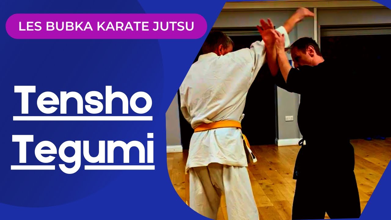 Tensho Bunkai - Tegumi