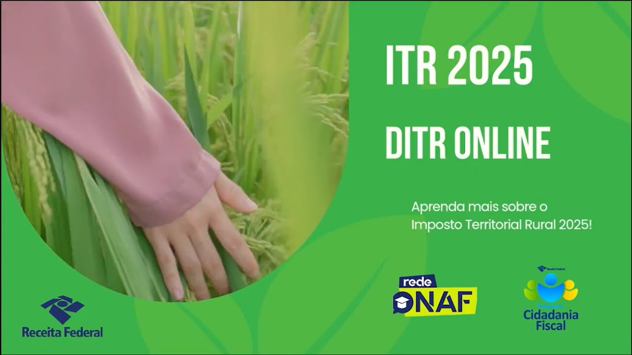 ITR 2025 - DITR ONLINE