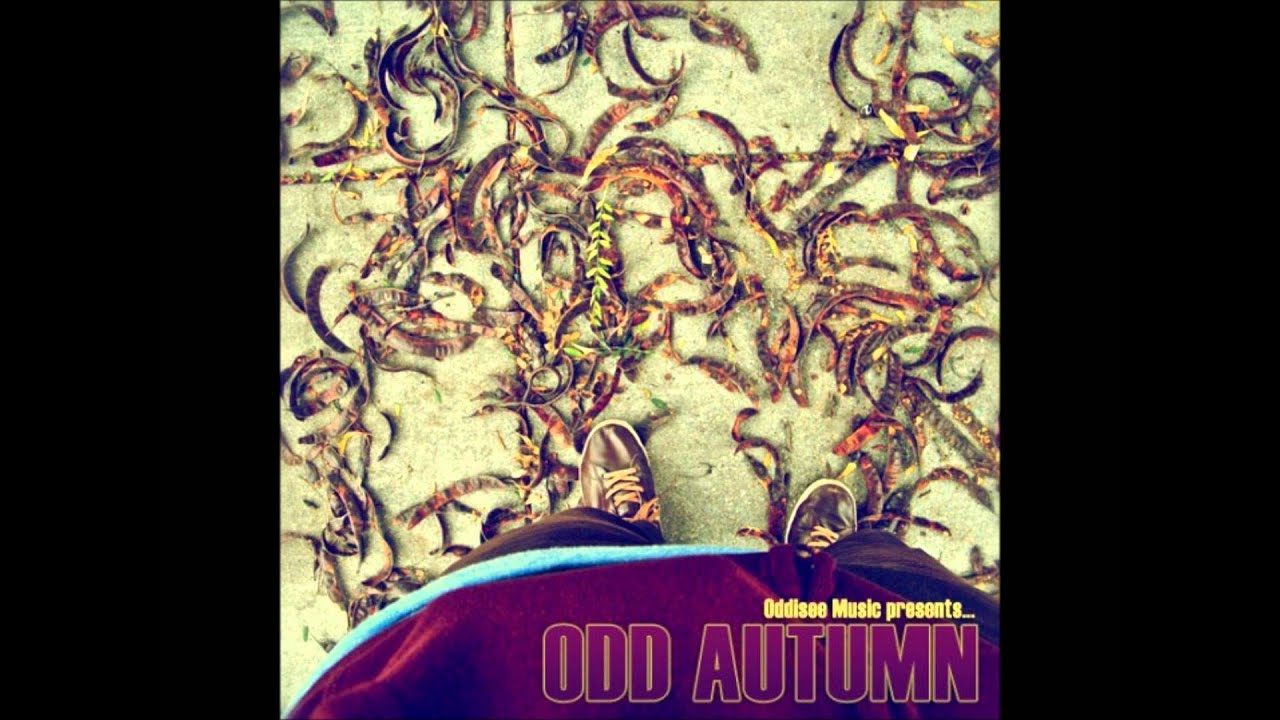 saw myself today -Oddisee (odd Autumn).wmv