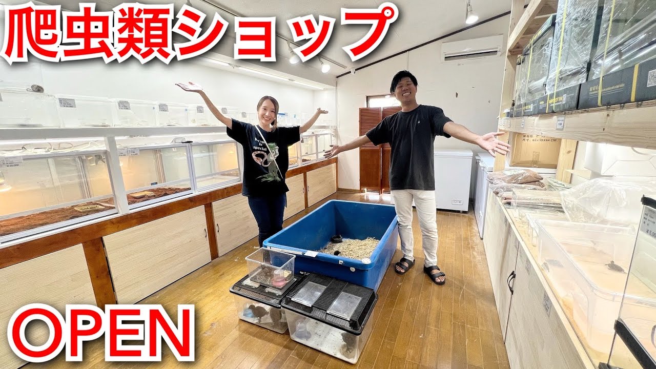 爬虫類館に先日オープンした爬虫類ショップに行ってきました…！