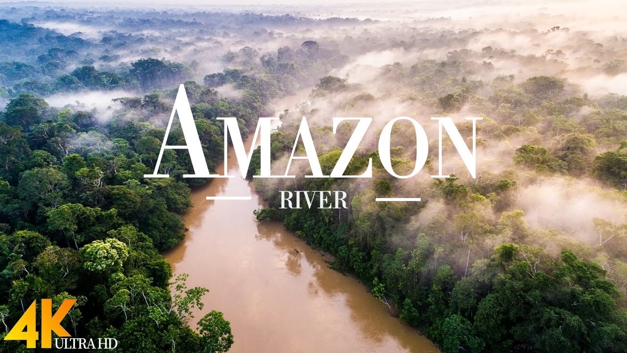 Amazon River 4k - Stungning Nature Landscape Of Amazon Rainforest, Jungle River | 4k Relaxation Film