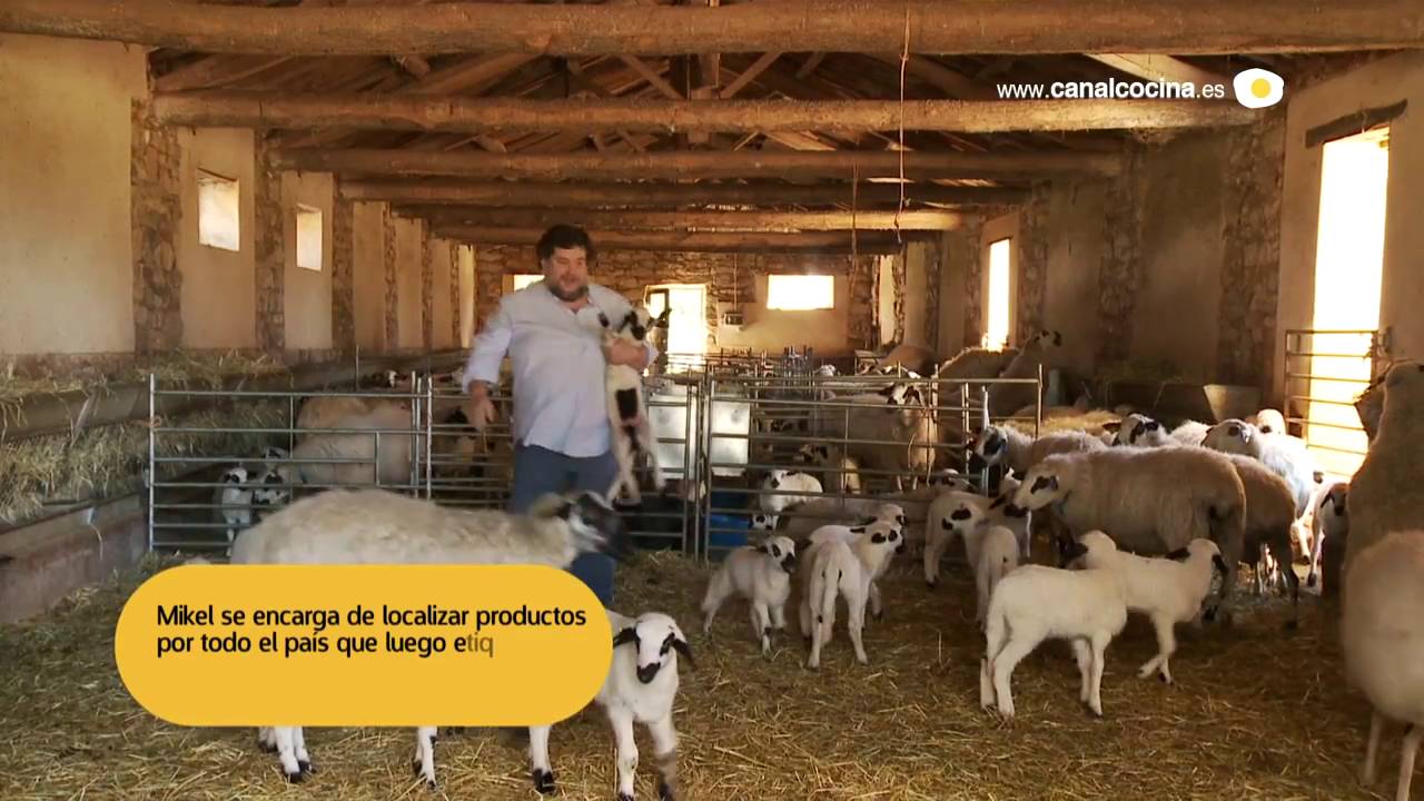 Reportaje Proyecto Petra Mora