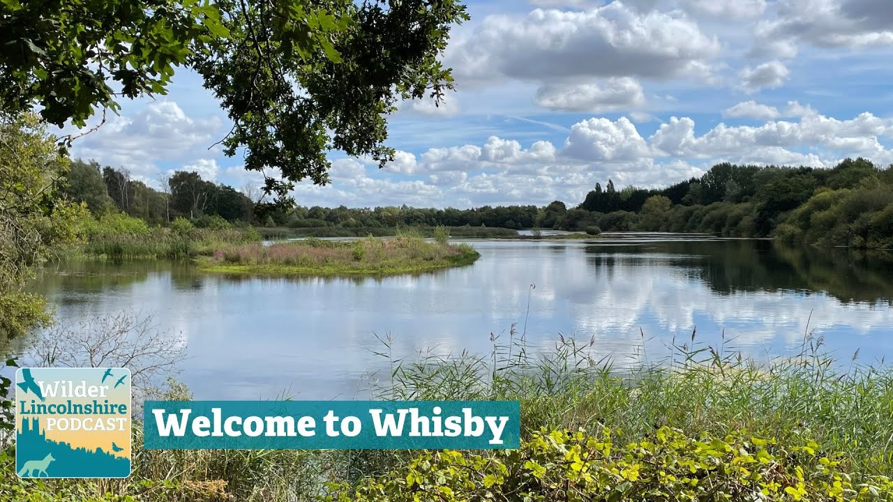 Welcome to Whisby Nature Park