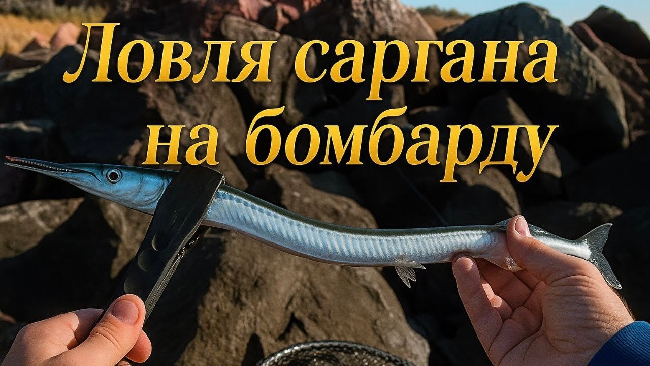 Раздача саргана в Одесі. 🐠 Риболовля на Чорному морі. 🌊 