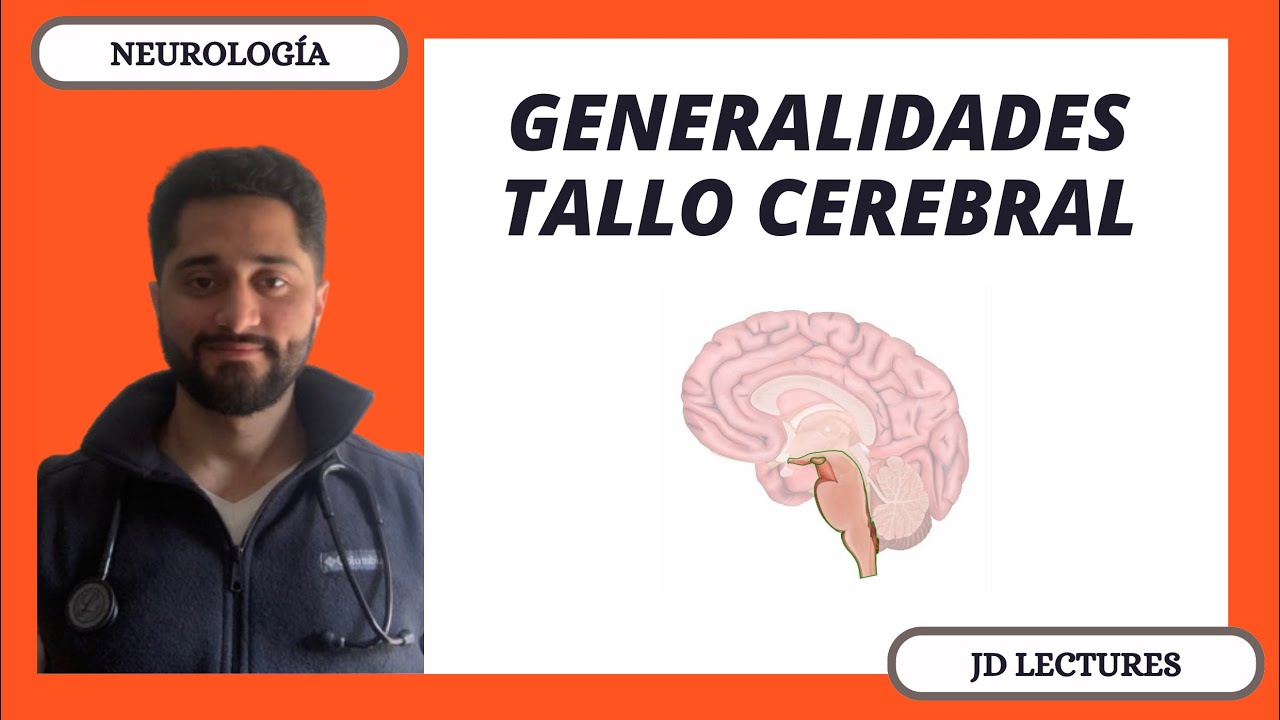 GENERALIDADES DEL TALLO CEREBRAL | NEUROLOGÍA