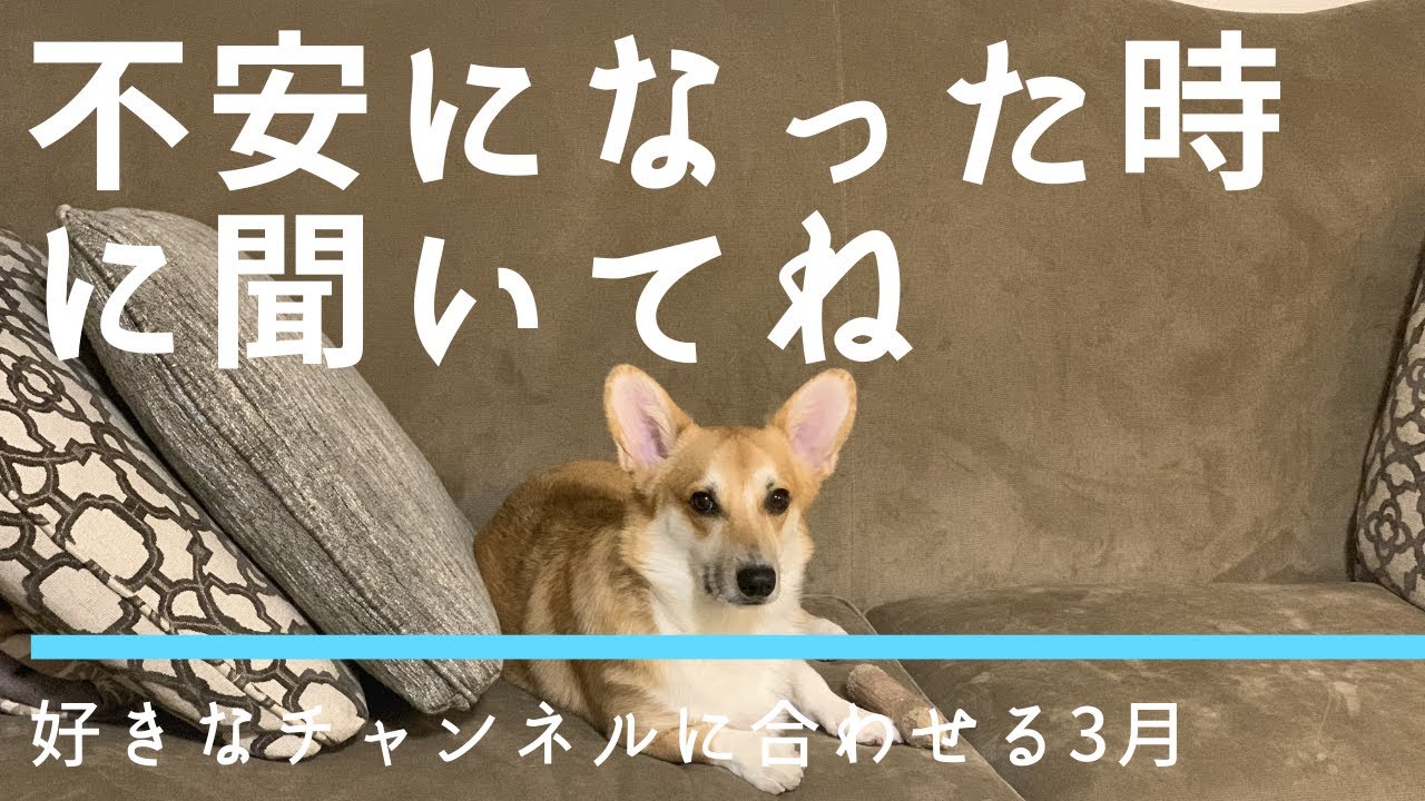 不安になった時の対処法♪ 心が1ミリ軽くなるラジオ「レイチェルチャンネル　FINE TUNE RADIO」眠くなる声でお届け中♪ エイブラハムの教え、波動、エネルギー、バイブレーション、宇宙の法則