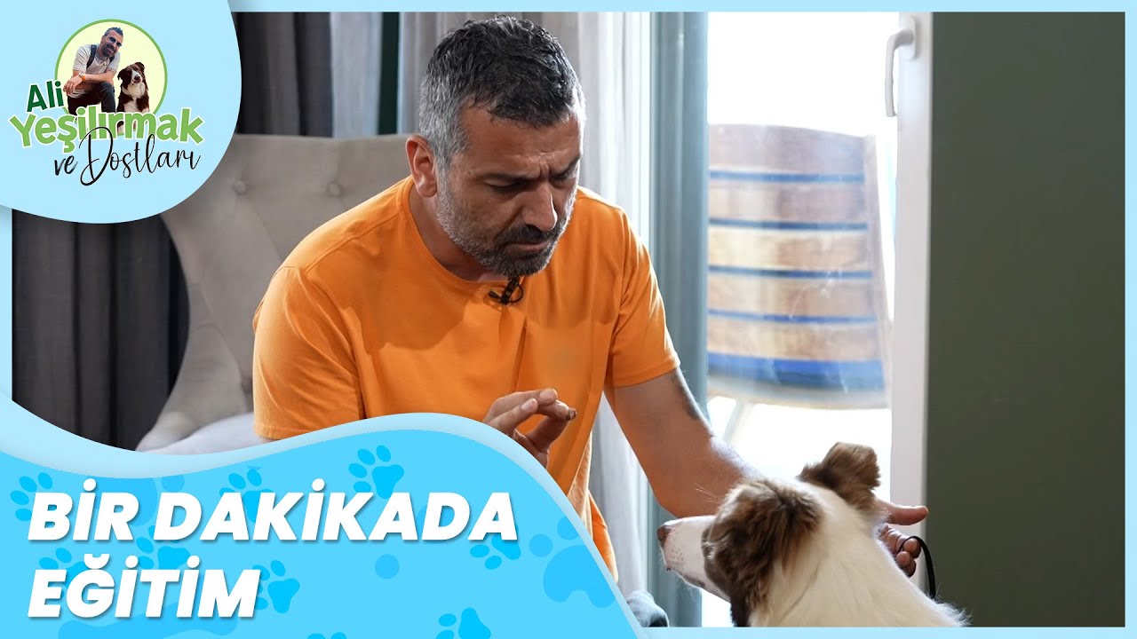 İnsanları İstemeden Isıran Rita'ya Eğitim | Ali Yeşilırmak Ve Dostları