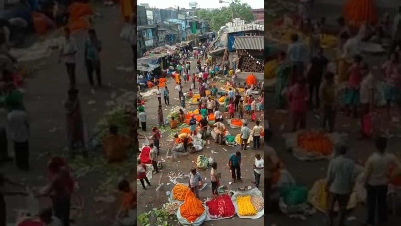 Biggest flower market in India | kolkata #kolkata #explorer #flower #howrahbridge