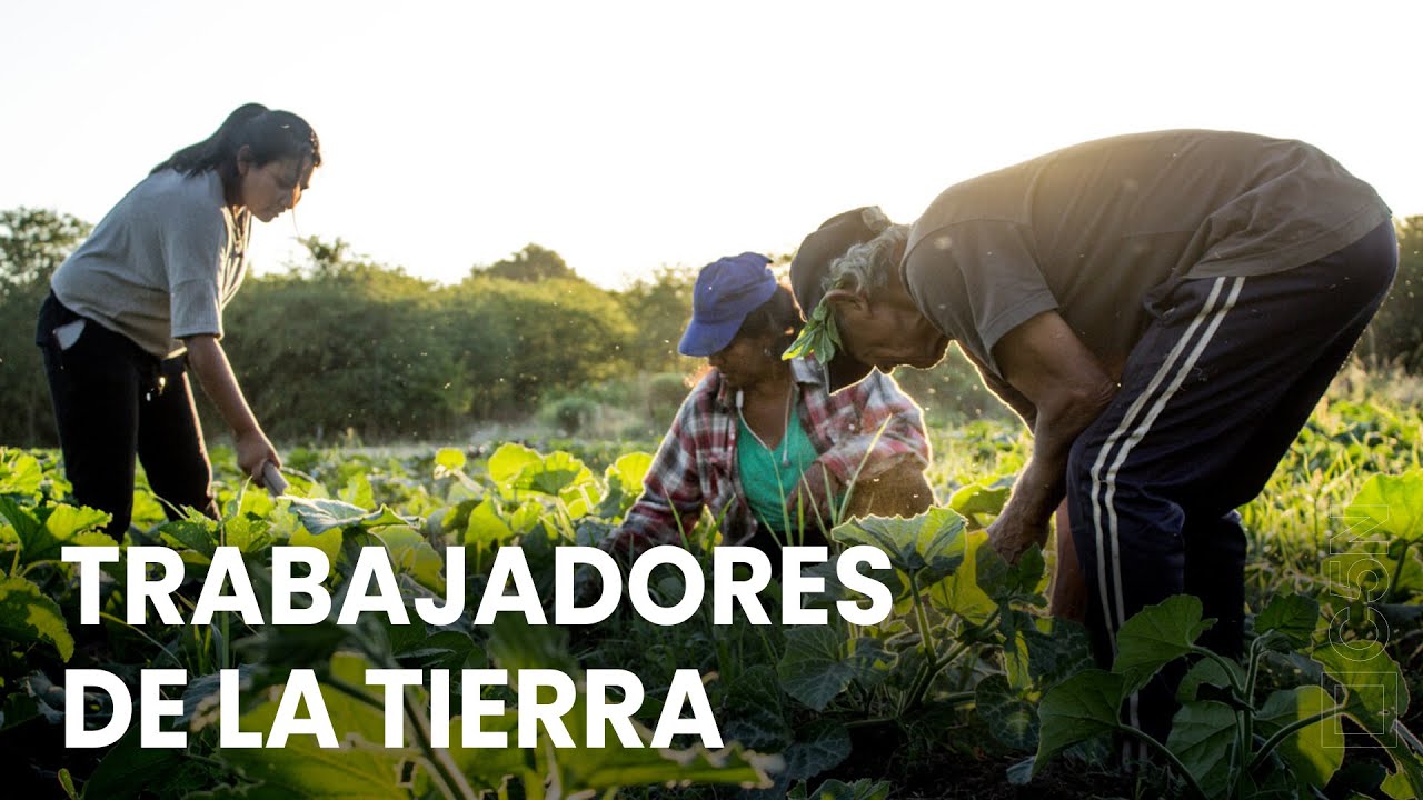 TRABAJADORES de la TIERRA y PRODUCCIÓN de ALIMENTOS AGROECOLÓGICOS