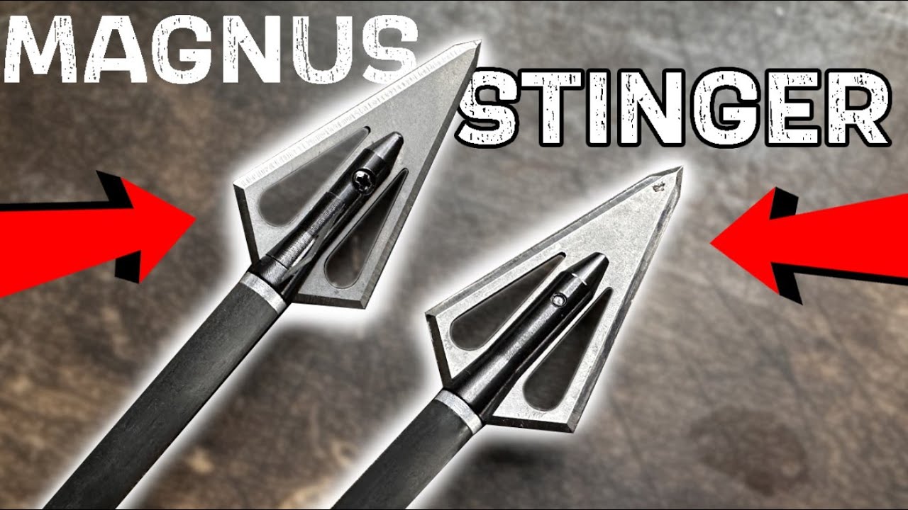 Why You Should Buy MAGNUS STINGER BROADHEADS