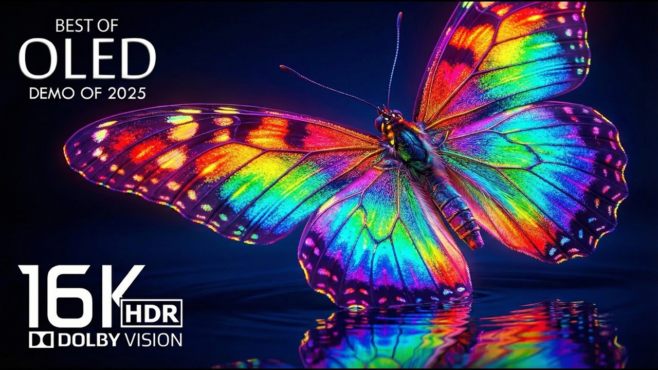 STUNNING ANIMAL WORLD IN 4K HDR RESOLUTION | Dolby Vision 120FPS on OLED TV
