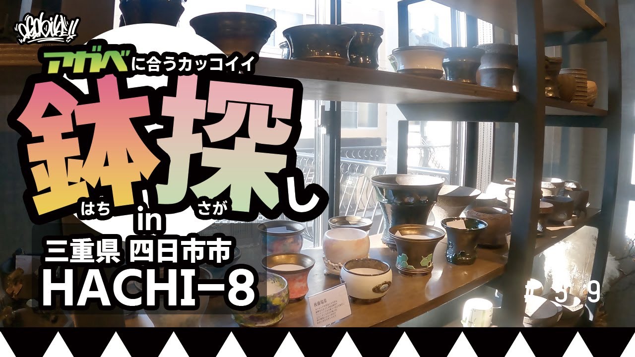 アガベに合う鉢を探しに行く！in三重県 四日市市 HACHI-8