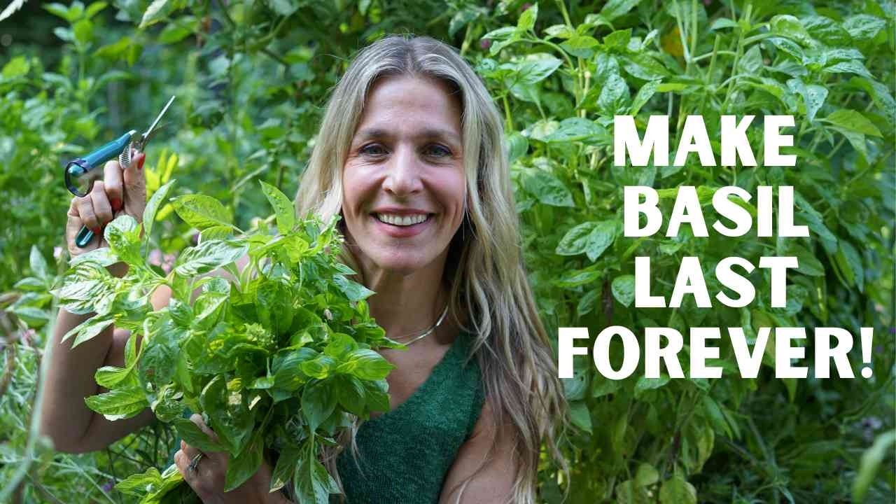 How to Grow Basil so You Have it Forever
