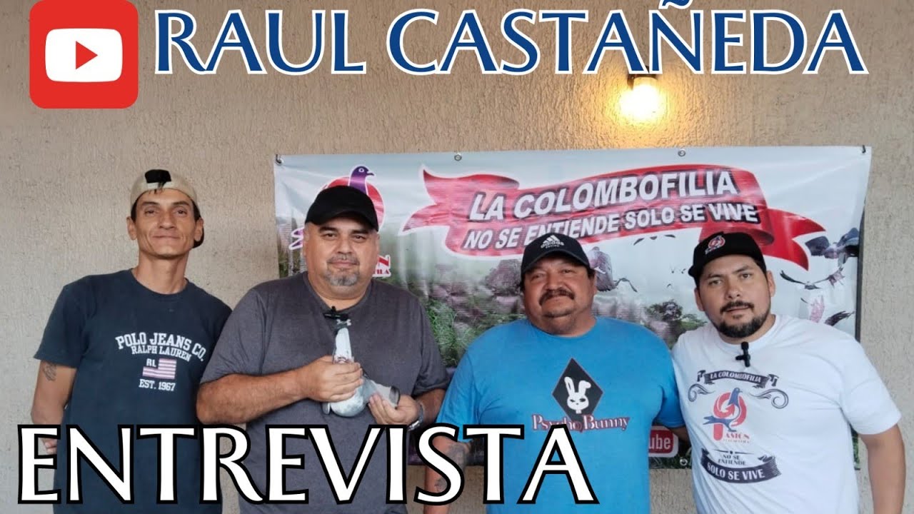 La Línea de los Thomas 6, por Raúl Castañeda Campeón UCDJ Chihuahua Chih  900 km vs 895 pal